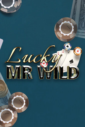Lucky Mr. Wild демо игровой автомат | ВАВАДА Казино бесплатно
